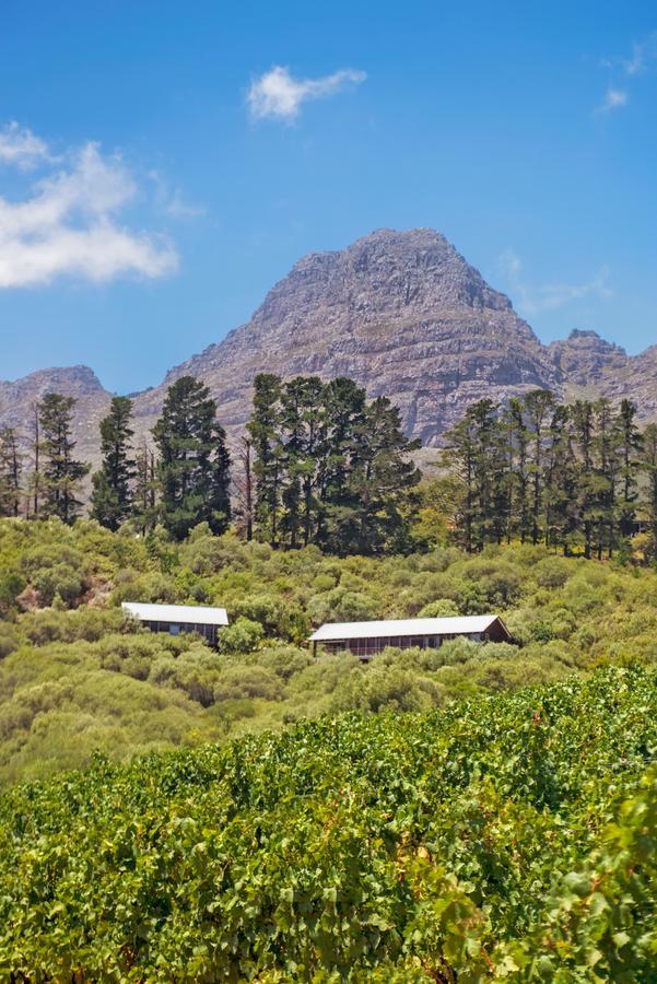 Bush Lodge At Hidden Valley Wines Stellenbosch Zewnętrze zdjęcie